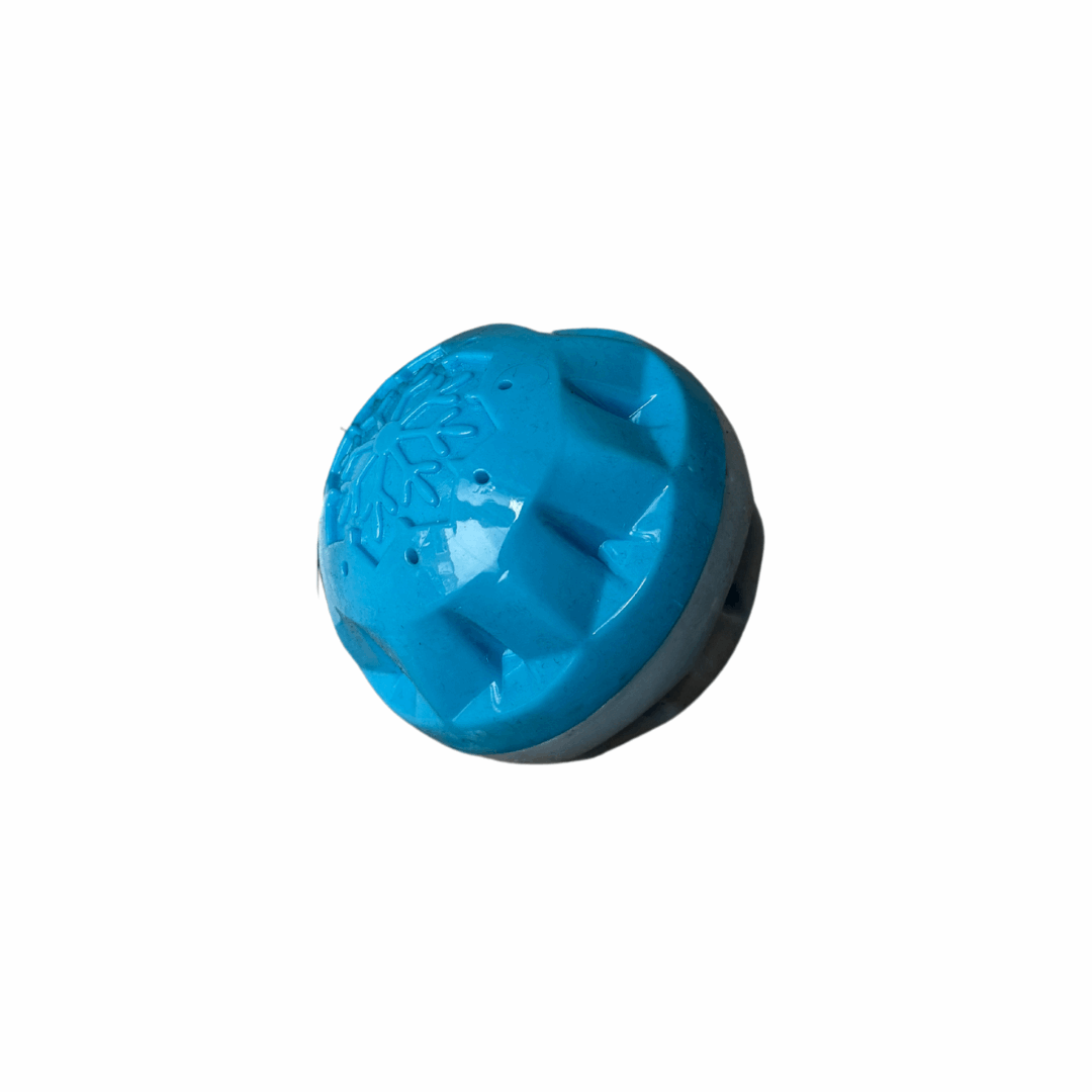 Verkoelend_hondenspeeltje_blauwe_bal_of_popsicle_ideaal_voor_warme_zomerdagen bal