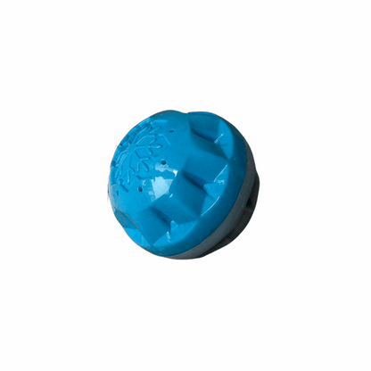 Verkoelend_hondenspeeltje_blauwe_bal_of_popsicle_ideaal_voor_warme_zomerdagen bal