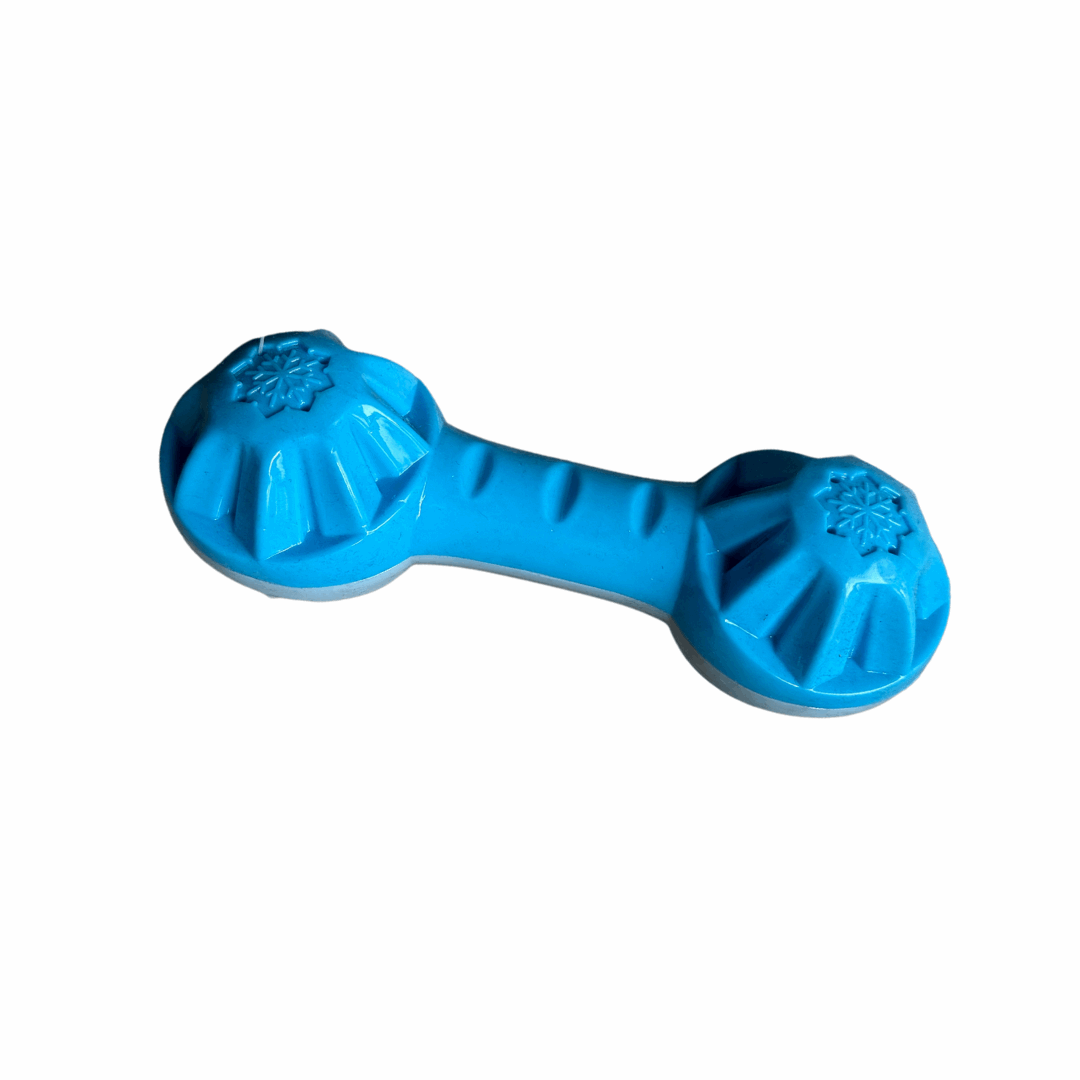 Verkoelend_hondenspeeltje_blauwe_bal_of_popsicle_ideaal_voor_warme_zomerdagen dumbell