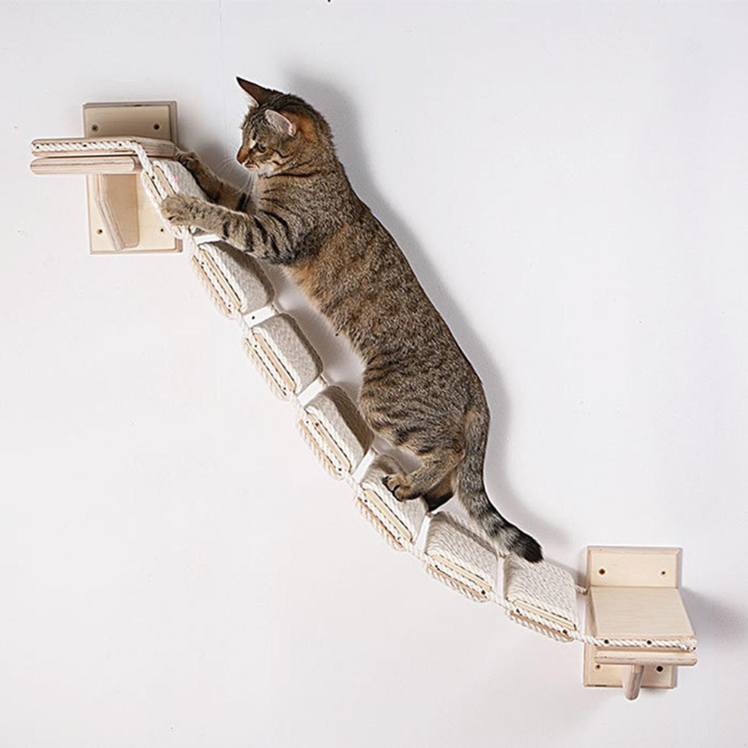 Kattenklimladder houten klimtrap voor katten aan de muur, met touwstructuur