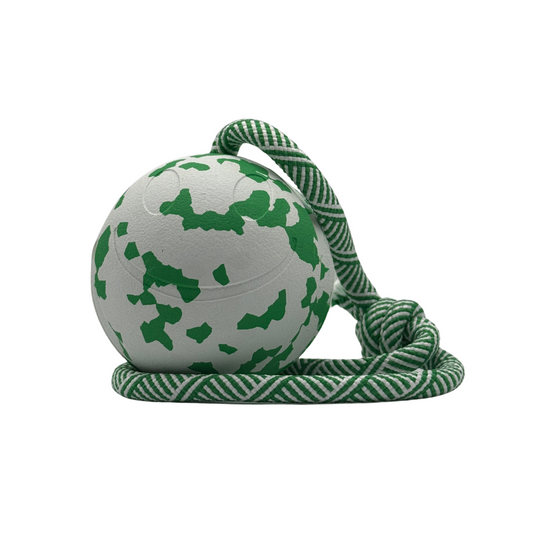 Zittend_Groen-witte_Bamboe_Bal_met_koord_duurzame_hondenspeelbal_van_rubber_en_bamboevezel