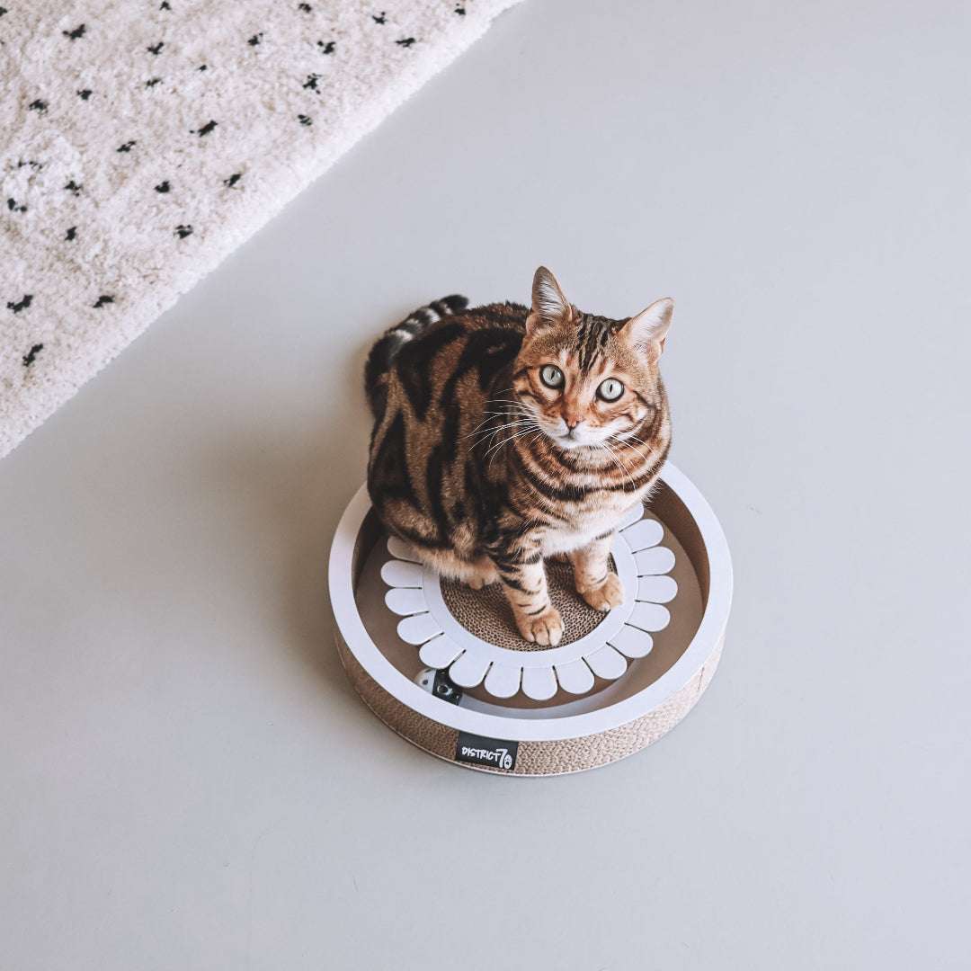 district-70-bloom-krabmeubel-