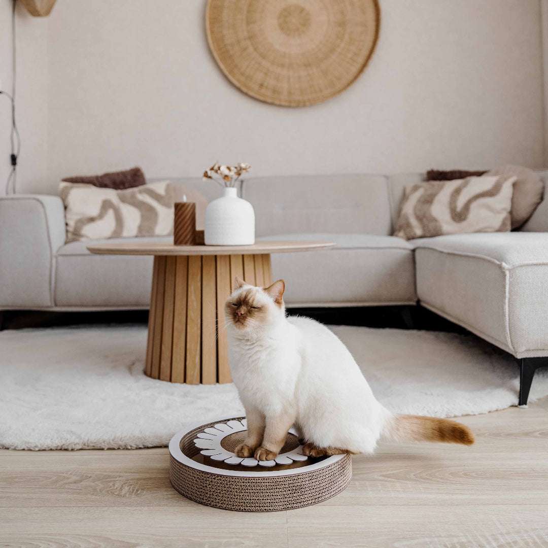 district-70-bloom-krabmeubel-