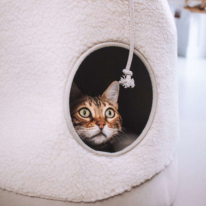 district-70-casa-teddy-cream