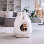 district-70-casa-teddy-cream