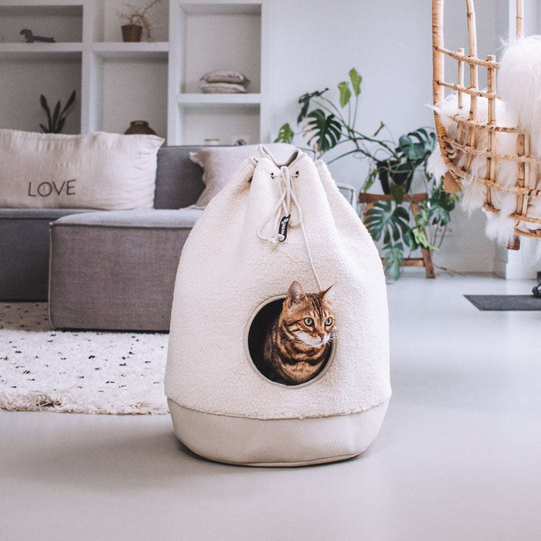 district-70-casa-teddy-cream