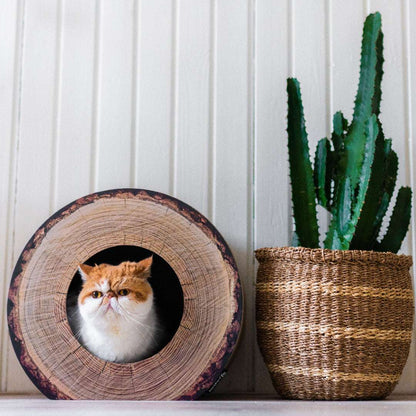 district-70-trunk-krabmeubel-voorkant