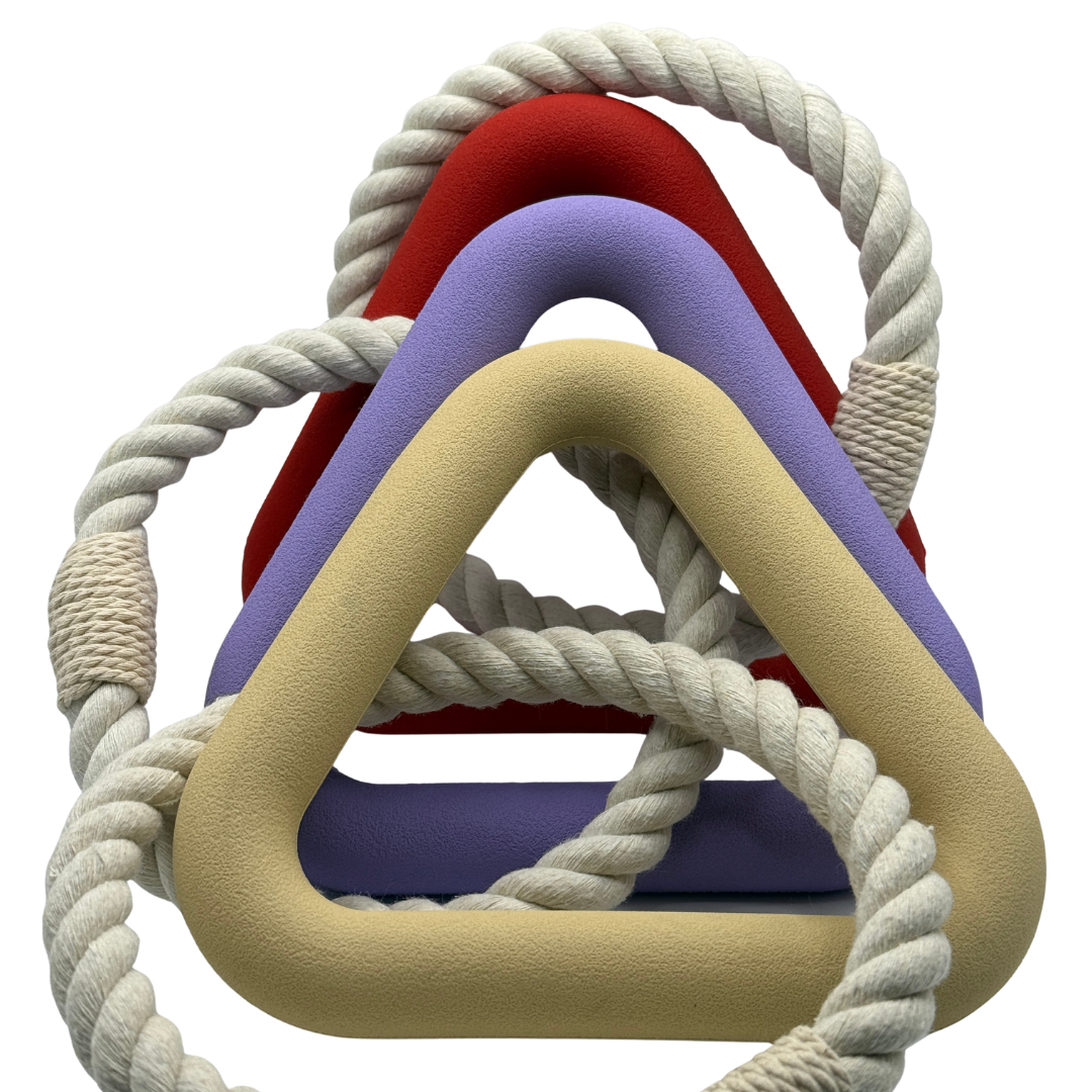 RoodbeigepaarsTriangel-hondenspeeltje-rood-paars-beige-Pet-Party-_1