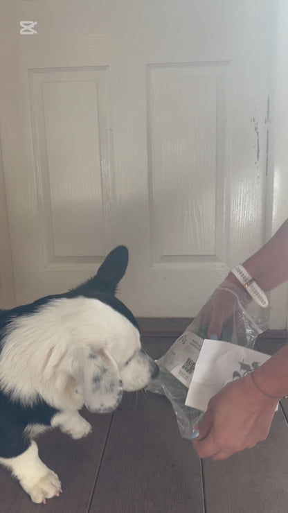 Snack & Snuffel bal Pet Party