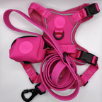 Pet Party Walk Set voor comfortabele wandelingen.