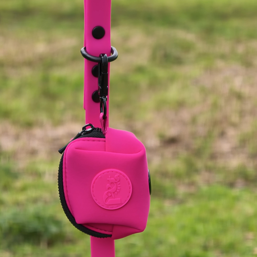 Poepzakhouder in blauw of roze voor wandelingen.